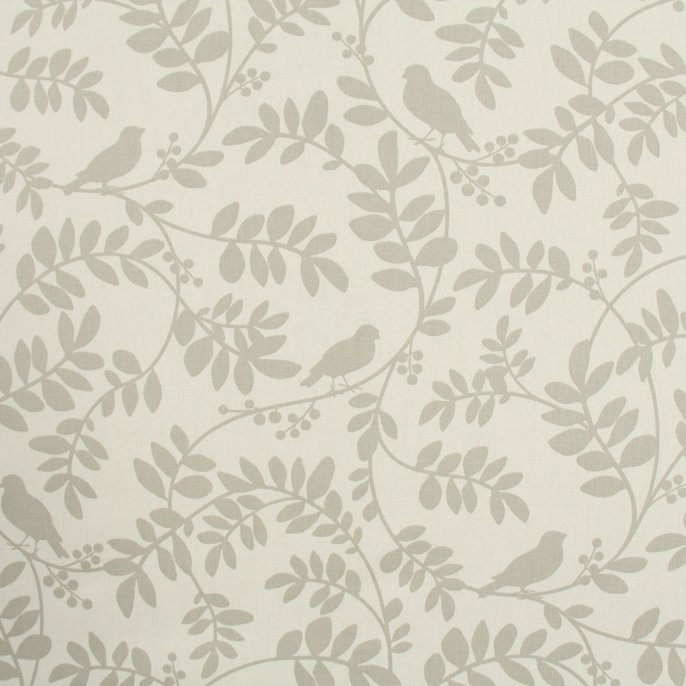 BOTANY FLORA | TAUPE