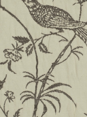 BIRD SONG | GREYSTONE