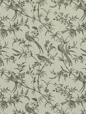 BIRD SONG | GREYSTONE