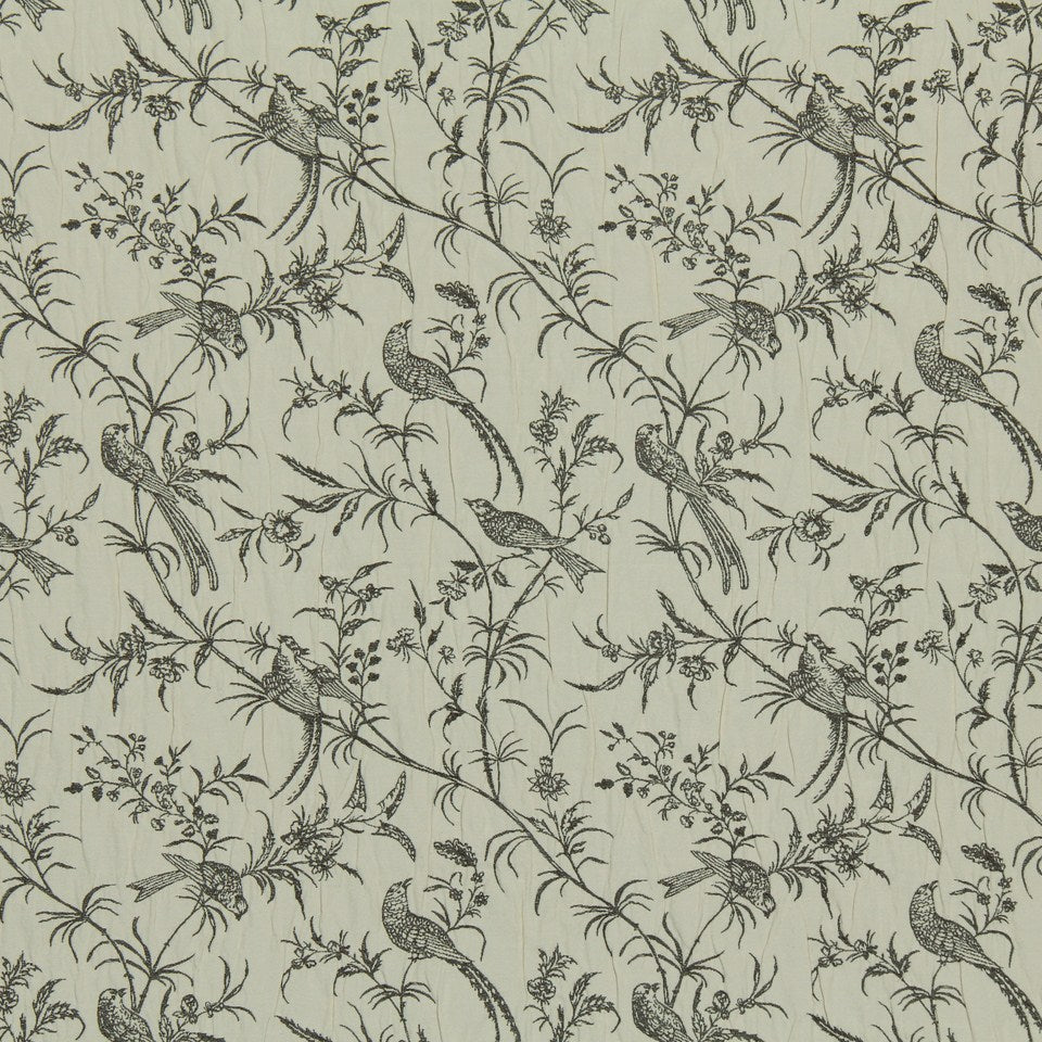BIRD SONG | GREYSTONE