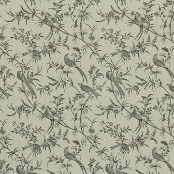BIRD SONG | GREYSTONE
