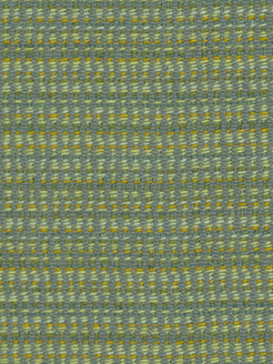 SPECKLE ROAD | ALOE