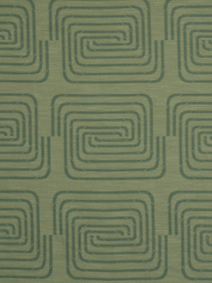 RACE TRACK | ALOE