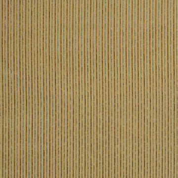 SOLID LINES | AMBER