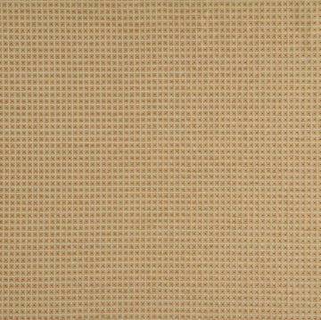 OVER STITCH | CHAMPAGNE - Multi-purpose