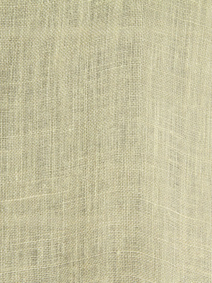 SOLID BASE | PARCHMENT
