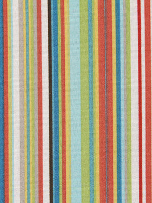 STRIPESCENE | MULTI