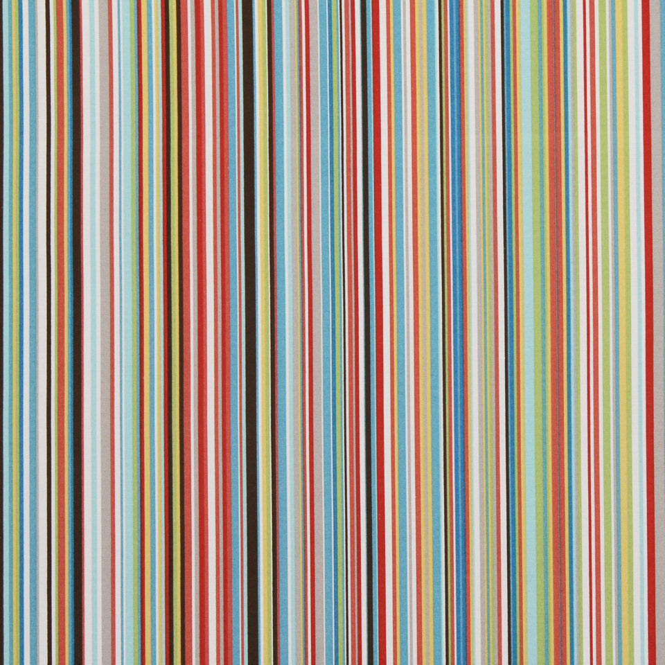 STRIPESCENE | MULTI