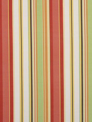 STRIPE CABANA | CORAL