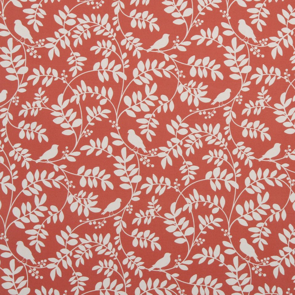 NEW BOTANY | CORAL - Drapery - Fabric