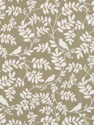 NEW BOTANY | TAUPE