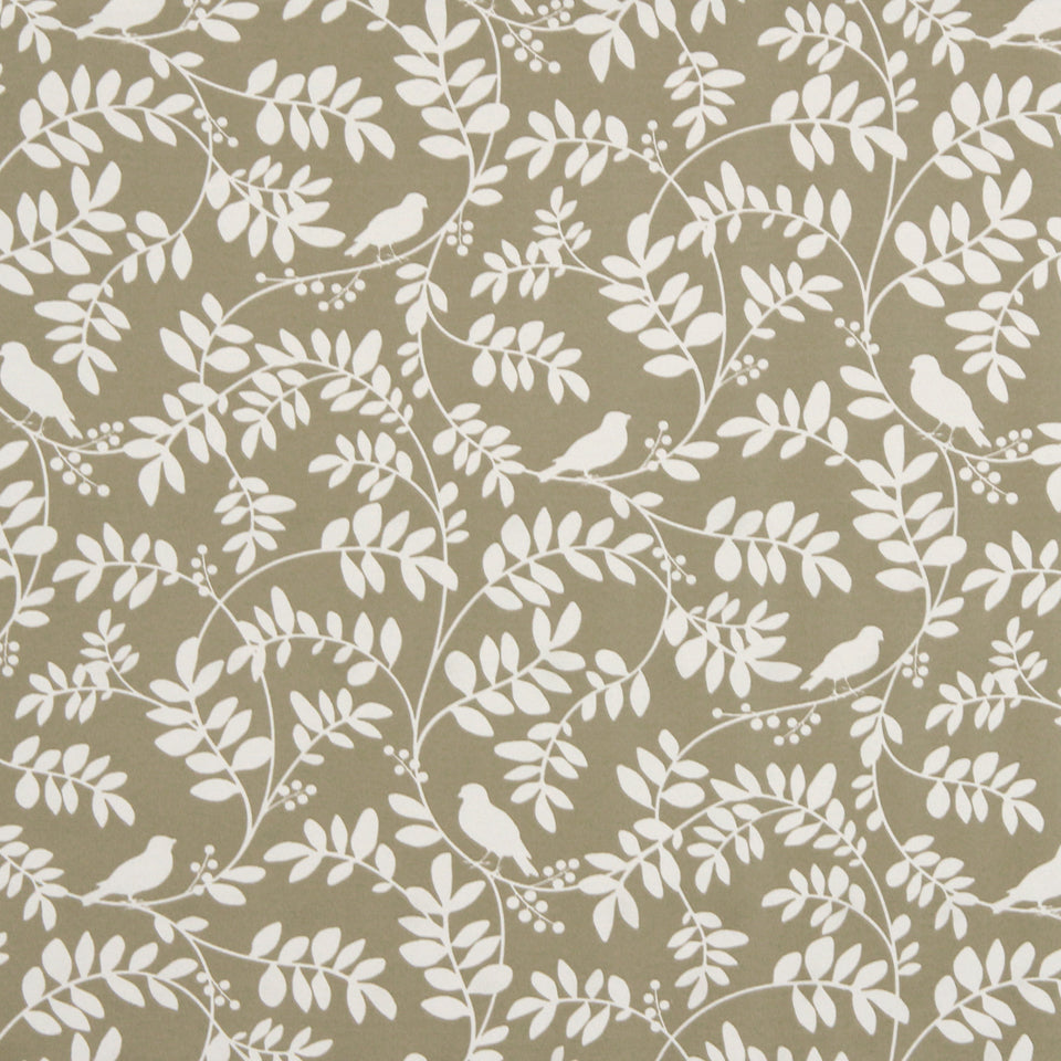 NEW BOTANY | TAUPE