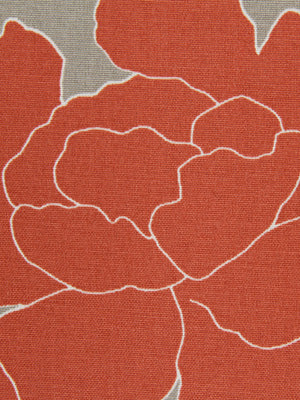 NEW PEONY | CORAL