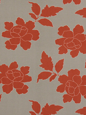 NEW PEONY | CORAL