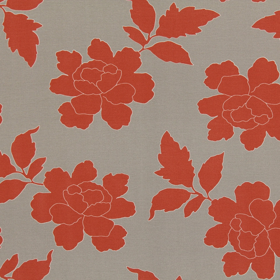 NEW PEONY | CORAL