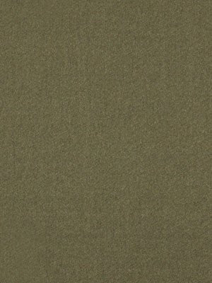 SHIMMER SHINE | LIMESTONE - Multi-purpose