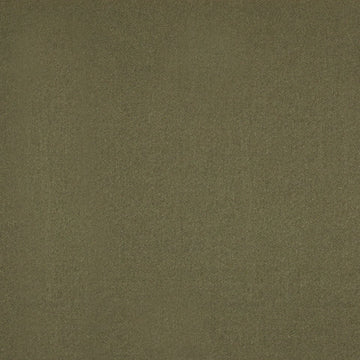 SHIMMER SHINE | LIMESTONE - Multi-purpose