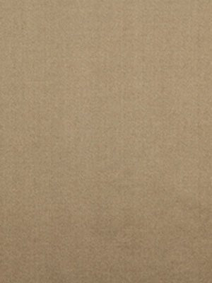 SHIMMER SHINE | STONE - Multi-purpose