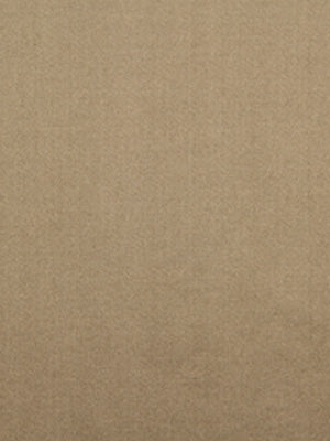 SHIMMER SHINE | STONE
