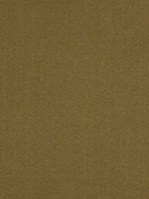 SHIMMER SHINE | COCOA - Multi-purpose