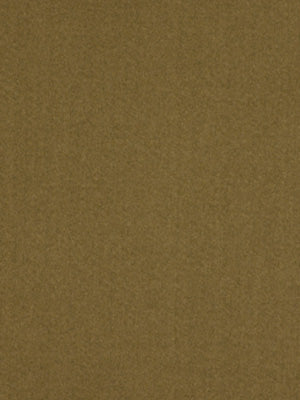 SHIMMER SHINE | COCOA