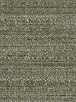 SNAZZY | RAINSHOWER - Multi-purpose