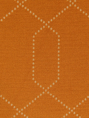 Dotted Frame | Persimmon