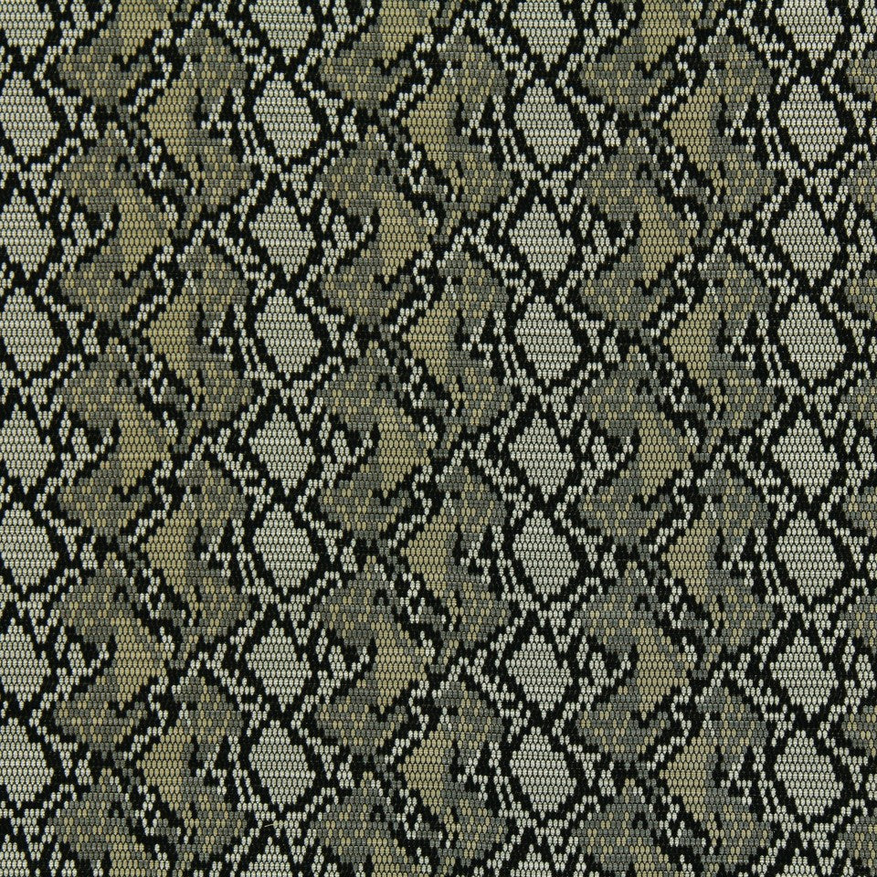SALAMANDER | SLATE