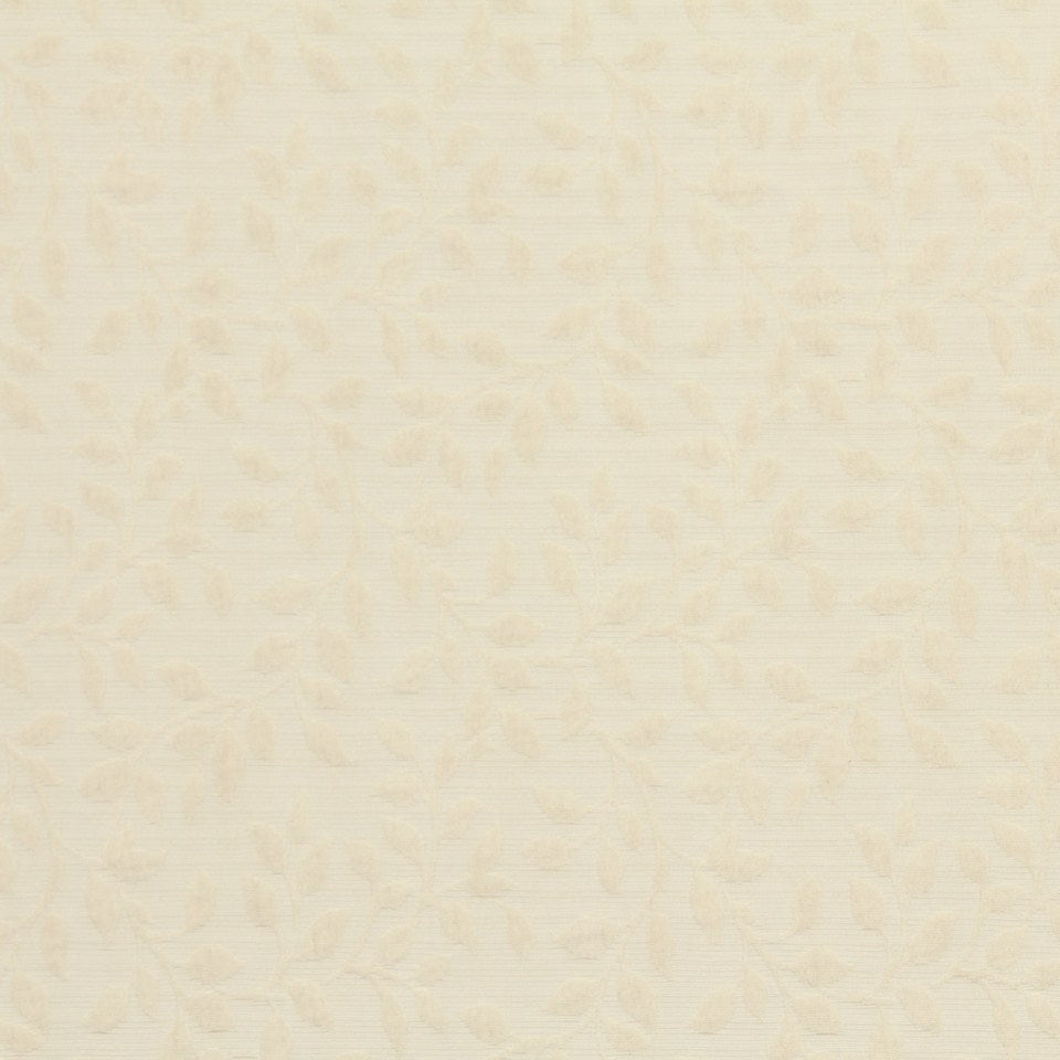 CENTER VINE | PARCHMENT - Multi-purpose