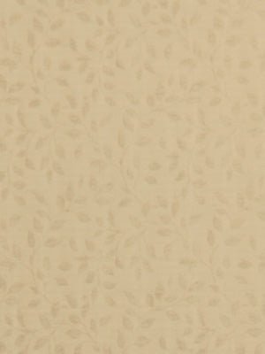 CENTER VINE | NOUGAT - Multi-purpose