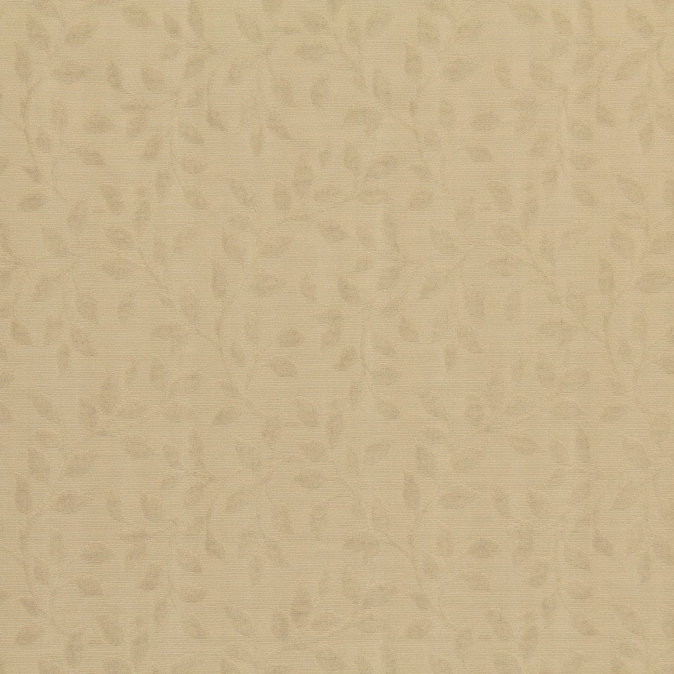 CENTER VINE | NOUGAT - Multi-purpose