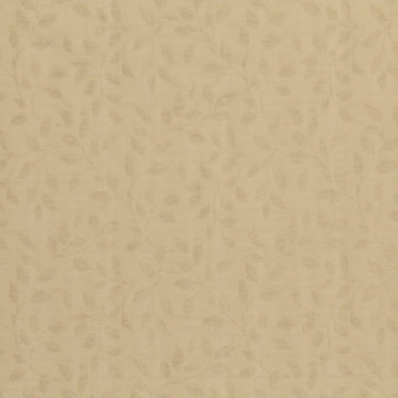 CENTER VINE | NOUGAT - Multi-purpose