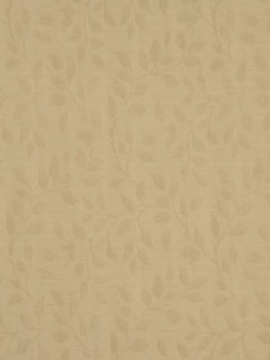 CENTER VINE | GINGER - Multi-purpose