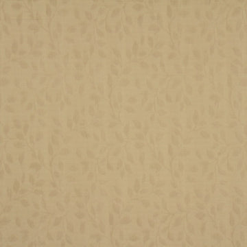 CENTER VINE | GINGER - Multi-purpose