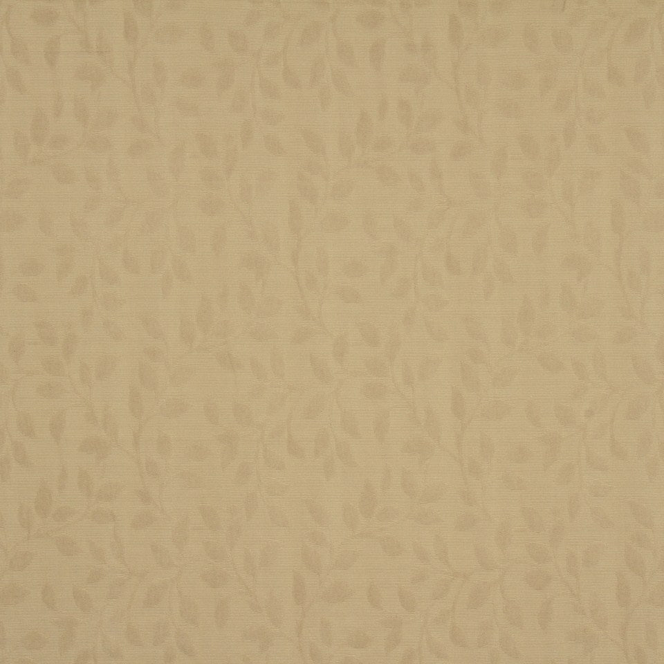 CENTER VINE | GINGER - Multi-purpose