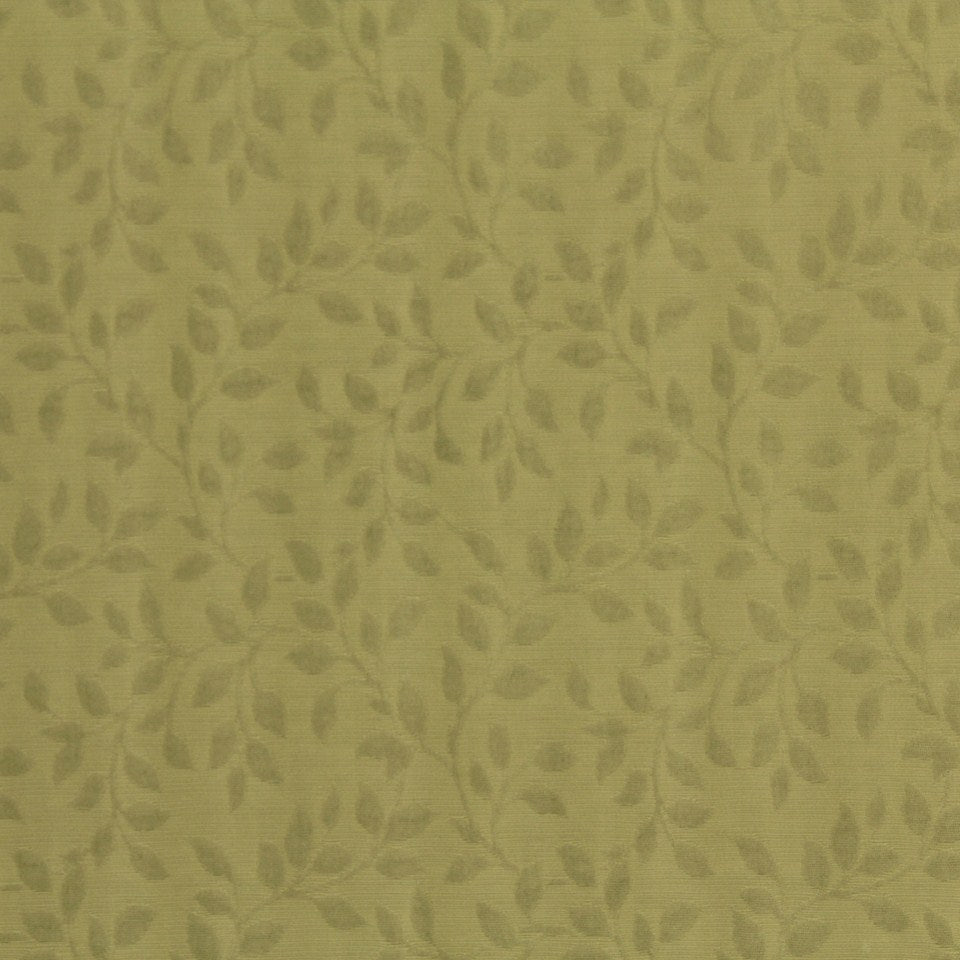 CENTER VINE | PISTACHIO - Multi-purpose