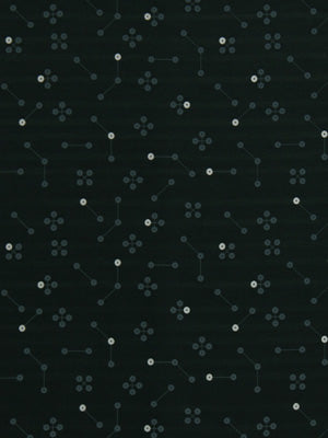 CONSTELLATION | INDIGO