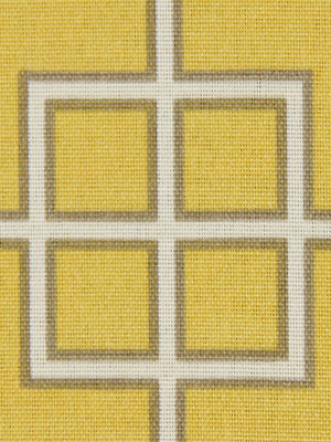 Fretscene | Canary