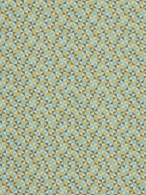 CREATIVE GEO | PEACOCK