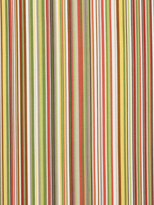 STRIPESCENE | SPRING