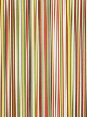 STRIPESCENE | SPRING