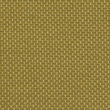 MAZE SOLID | CAMEL