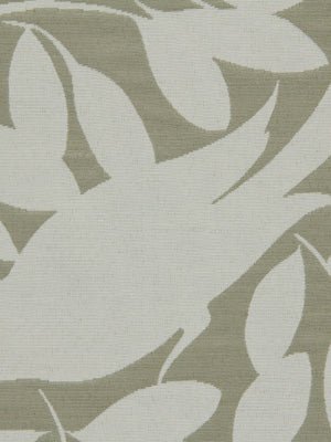 LEAF POINT | CLOUD - Multi-purpose