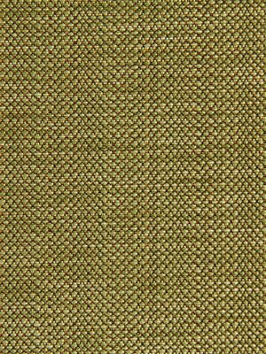 ULTIMATE SHADE | CACTUS - Upholstery - Fabric