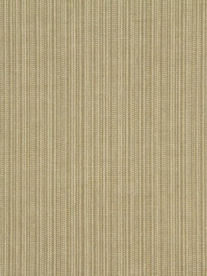 LONG LINE | BISCUIT - Multi-purpose