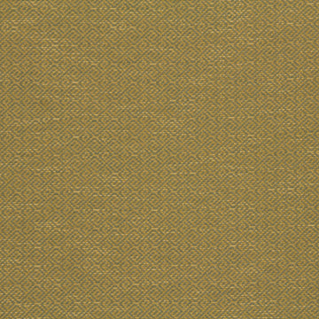 WAVE MAZE | CITRON