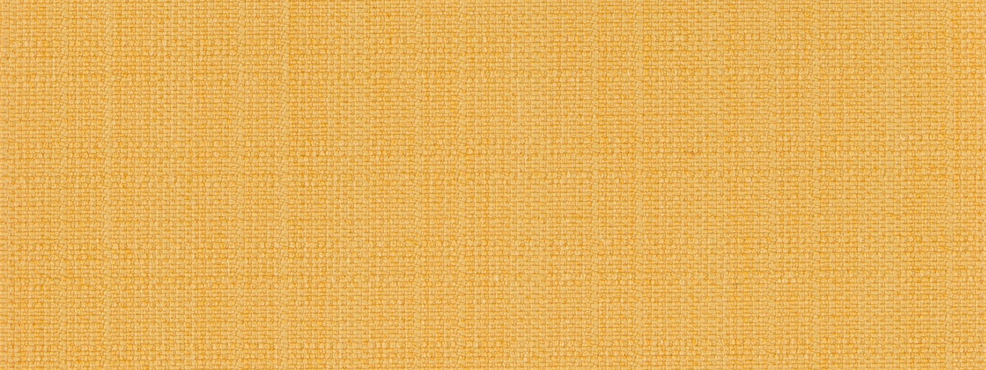 MODERN CANVAS | DAFFODIL