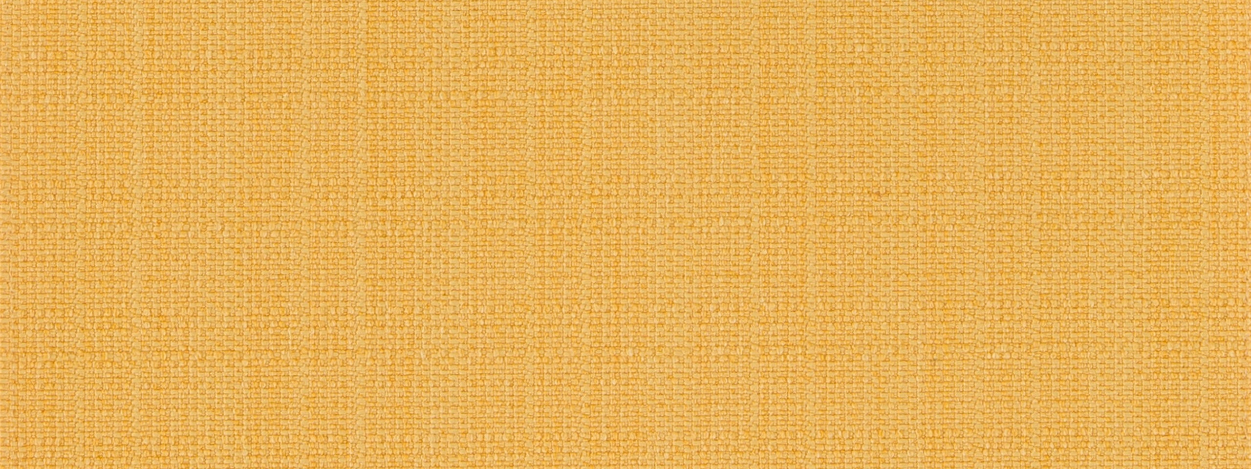 MODERN CANVAS | DAFFODIL