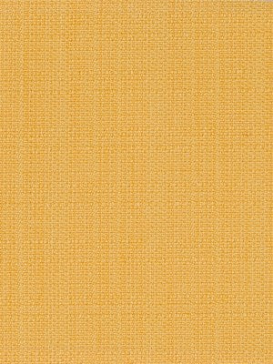 MODERN CANVAS | DAFFODIL
