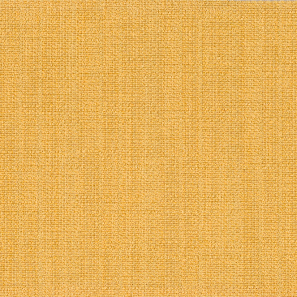 MODERN CANVAS | DAFFODIL
